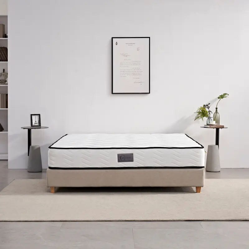 Hotel Mattress Warranty Commercial | 10-Year Coverage | Cloud Point
